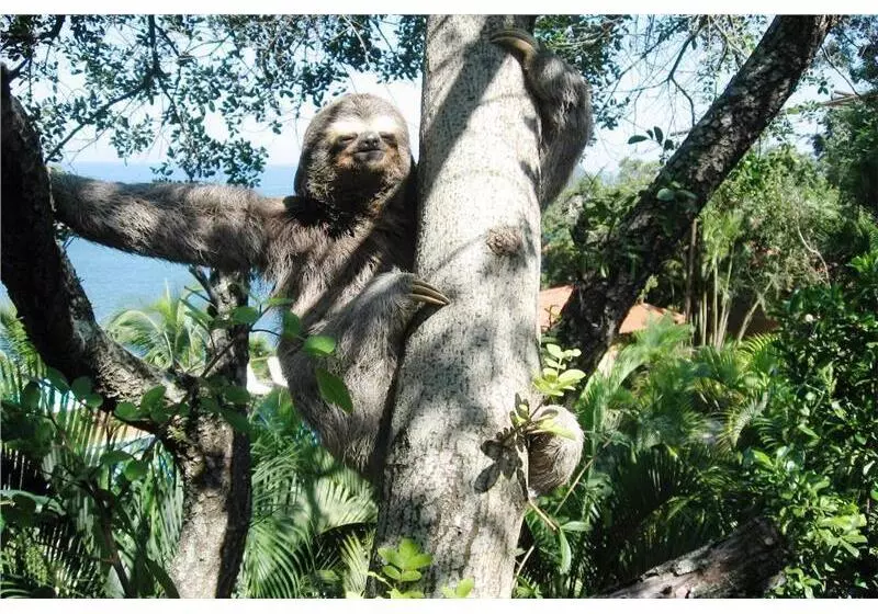 酒店 Ilha De Toque Toque Eco