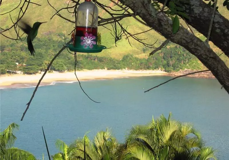 酒店 Ilha De Toque Toque Eco