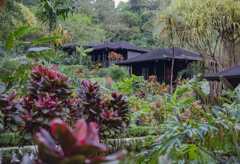 Отель Lomas Del Volcan