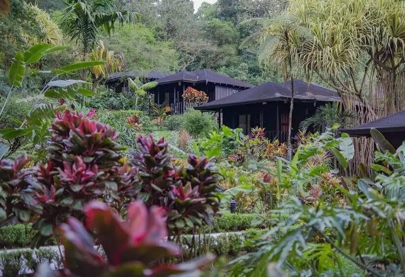 酒店 Lomas Del Volcan