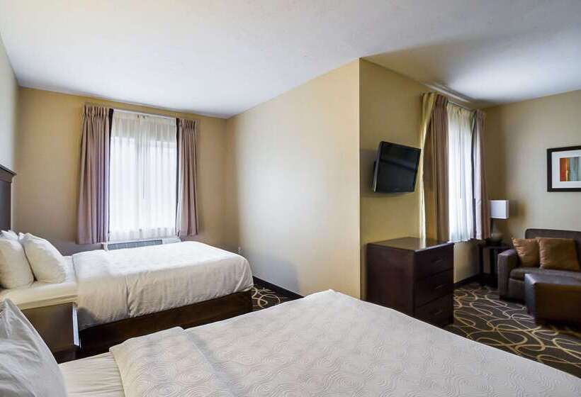 هتل Mainstay Suites Fargo I 94 Medical Center
