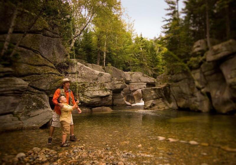 فندق Omni Bretton Arms Inn At Mount Washington Resort