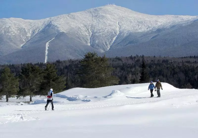 ホテル Omni Bretton Arms Inn At Mount Washington Resort