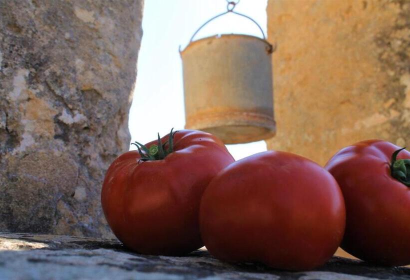 هتل روستایی Agroturismo Finca Son Pieras