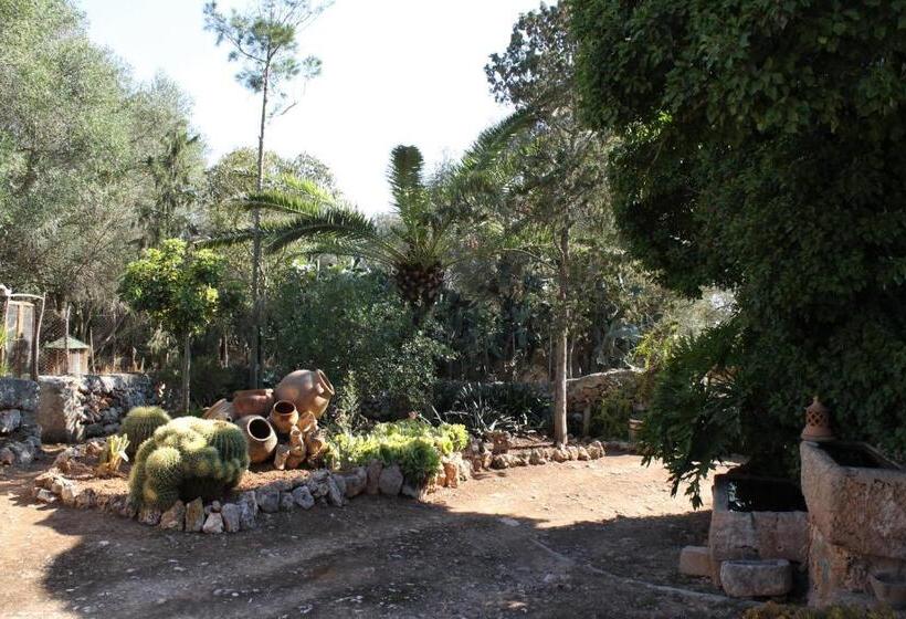 هتل روستایی Agroturismo Finca Son Pieras