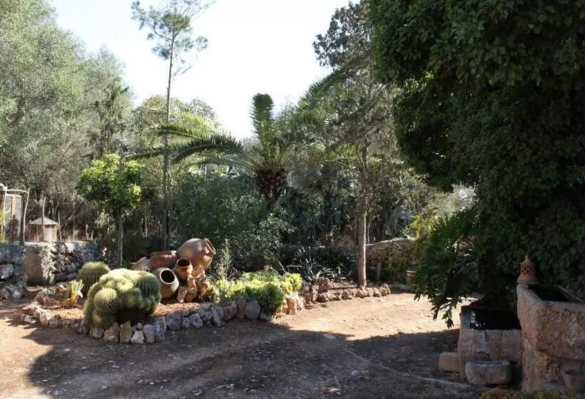 乡村酒店  Agroturismo Finca Son Pieras