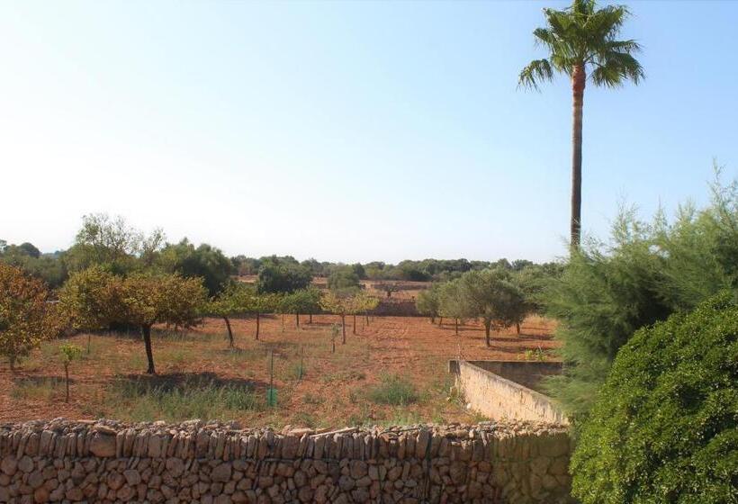 هتل روستایی Agroturismo Finca Son Pieras