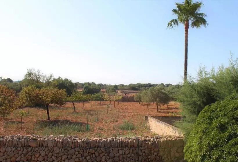 乡村酒店  Agroturismo Finca Son Pieras