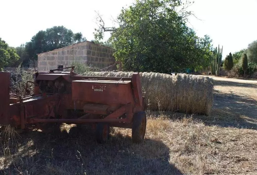 乡村酒店  Agroturismo Finca Son Pieras