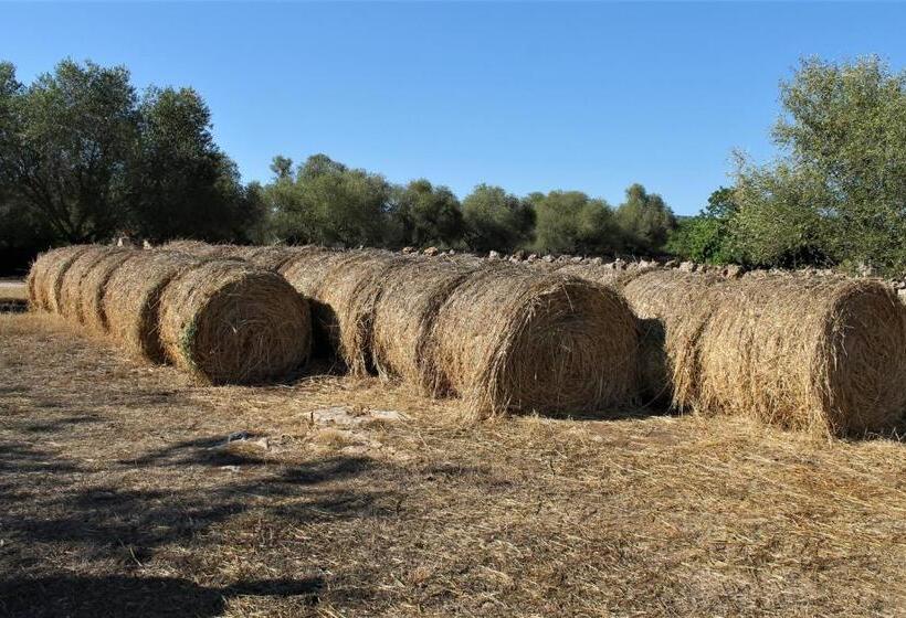 هتل روستایی Agroturismo Finca Son Pieras