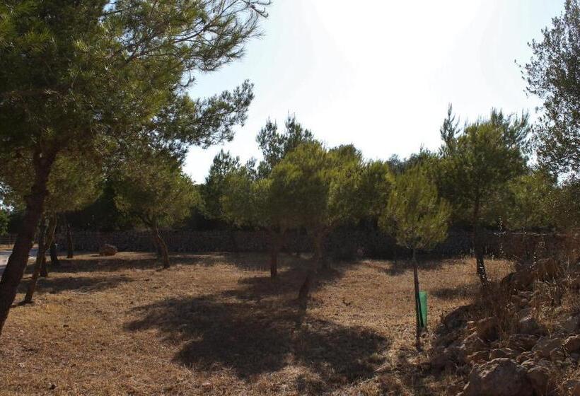 هتل روستایی Agroturismo Finca Son Pieras