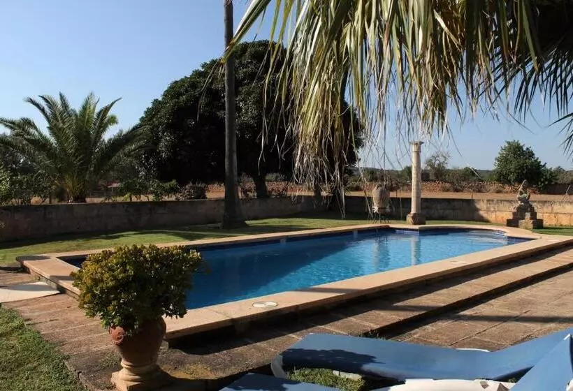 乡村酒店  Agroturismo Finca Son Pieras