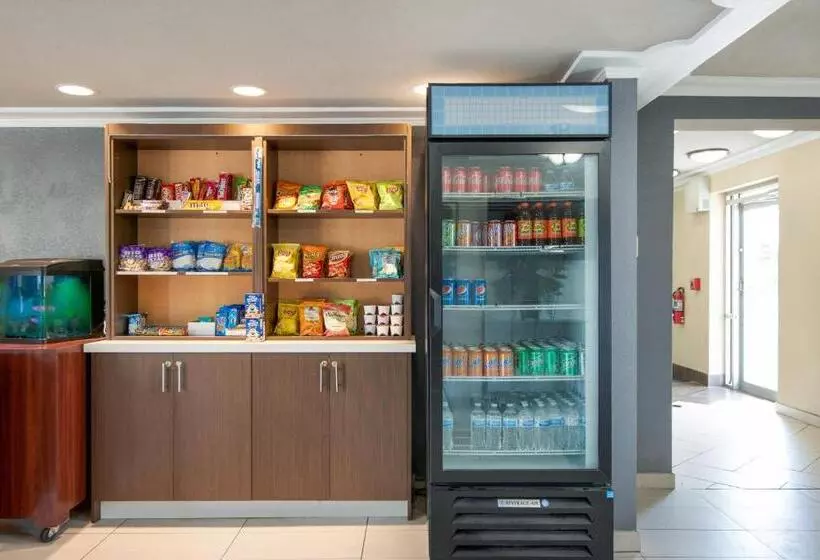 هتل Day S Inn & Suites By Wyndham Indianapolis Airport East