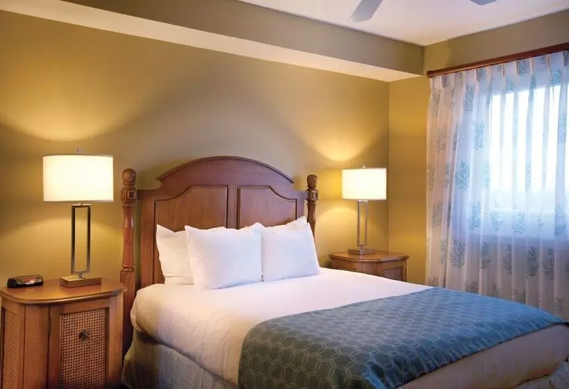 호텔 Club Wyndham Panama City Beach