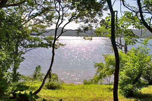 هتل Vista Bahía Beach Resort