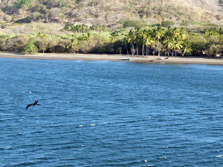 فندق Vista Bahía Beach Resort