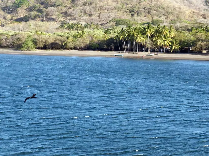 هتل Vista Bahía Beach Resort