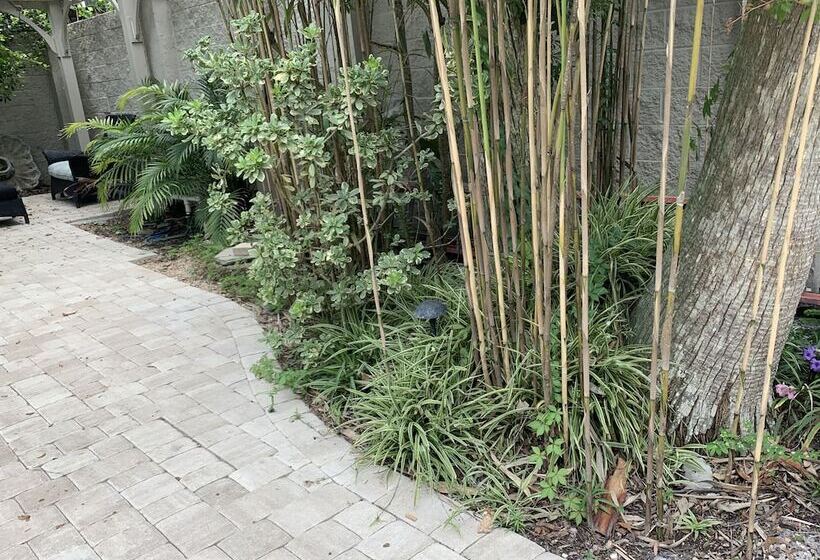 בית מלון כפרי Peace & Plenty Inn Bed And Breakfast Downtown St Augustine Adults Only