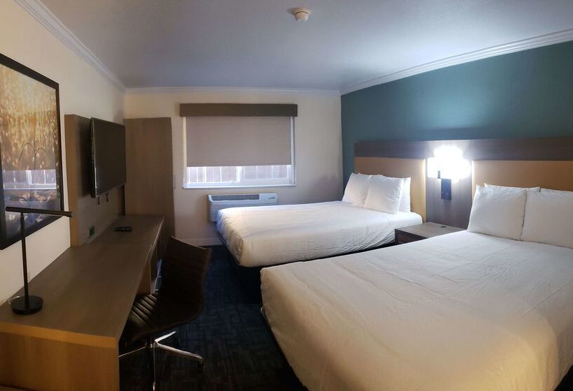 ホテル Comfort Inn