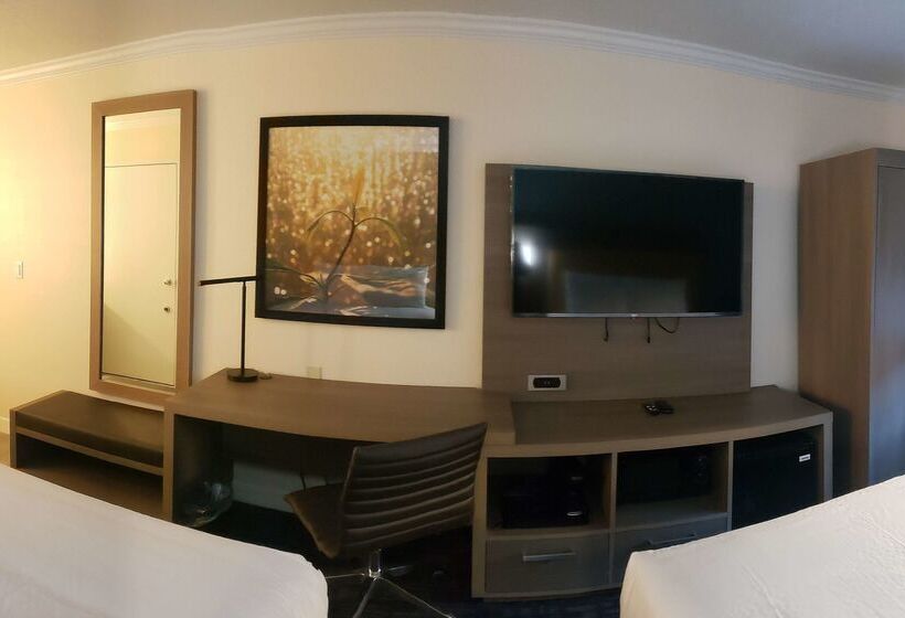 ホテル Comfort Inn