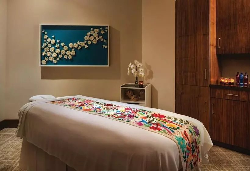 Отель The Westin Los Cabos Resort Villas