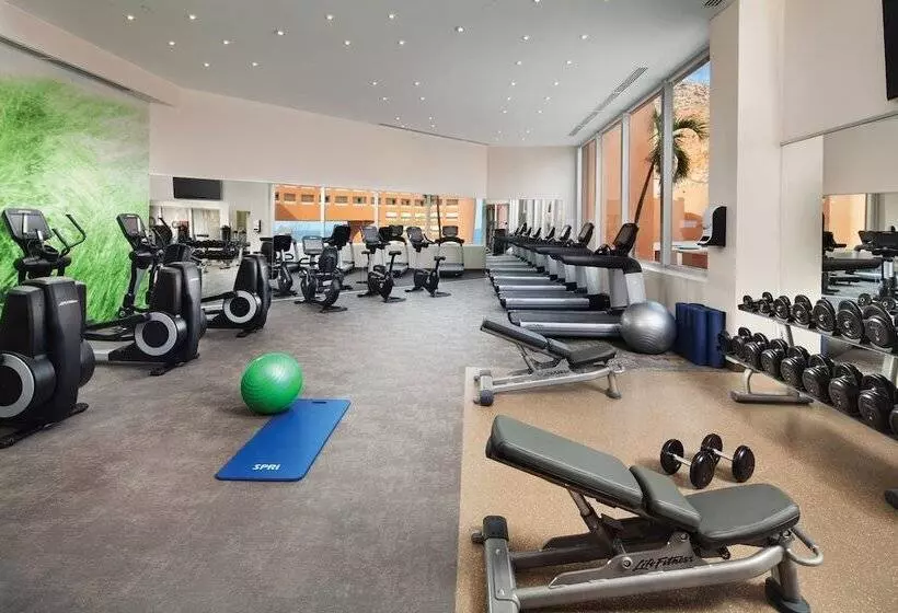 Отель The Westin Los Cabos Resort Villas