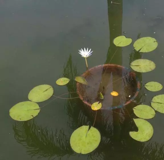 Szálló Casa Grande São Vicente