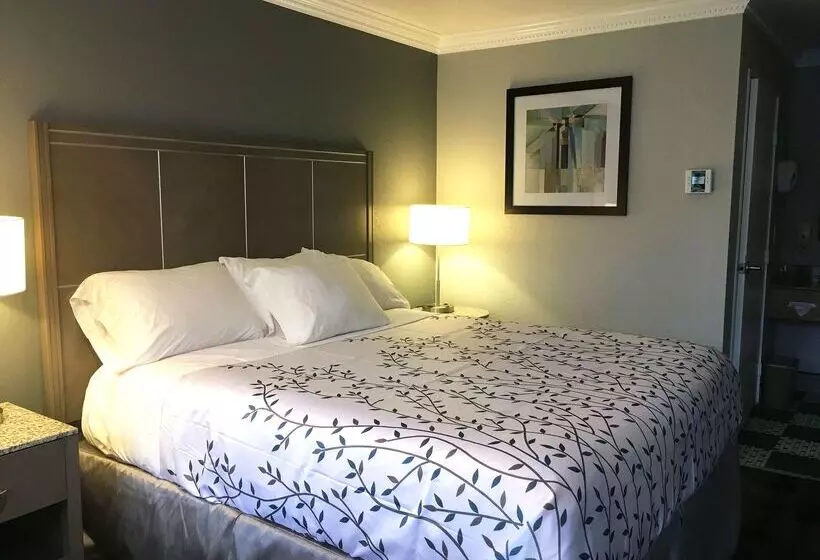 酒店 Americas Best Value Inn   Milpitas
