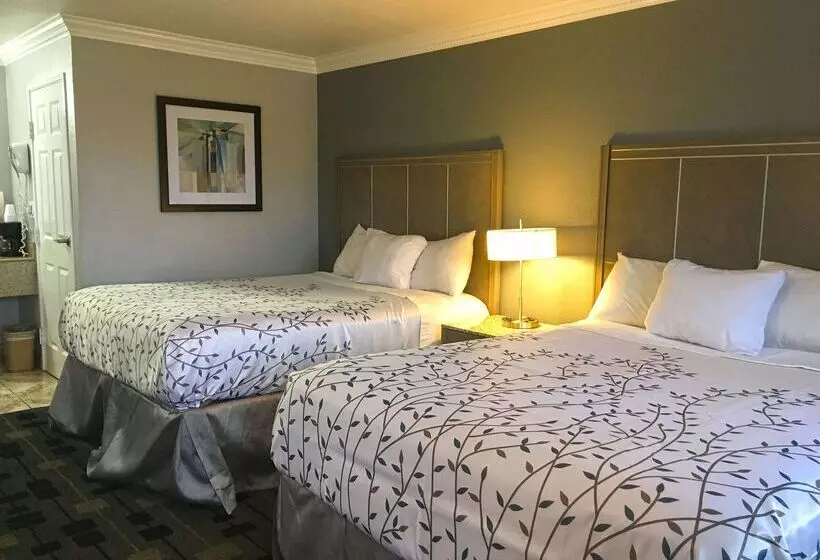 酒店 Americas Best Value Inn   Milpitas