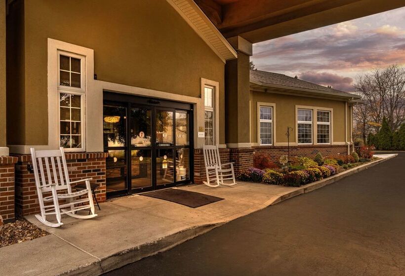 فندق Comfort Inn University