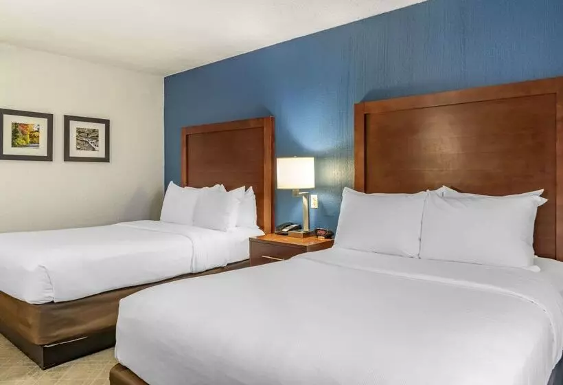 هتل Comfort Inn University