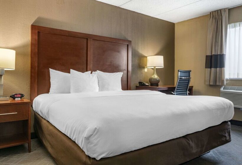 فندق Comfort Inn University