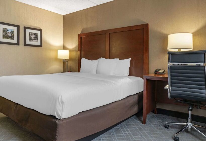 فندق Comfort Inn University