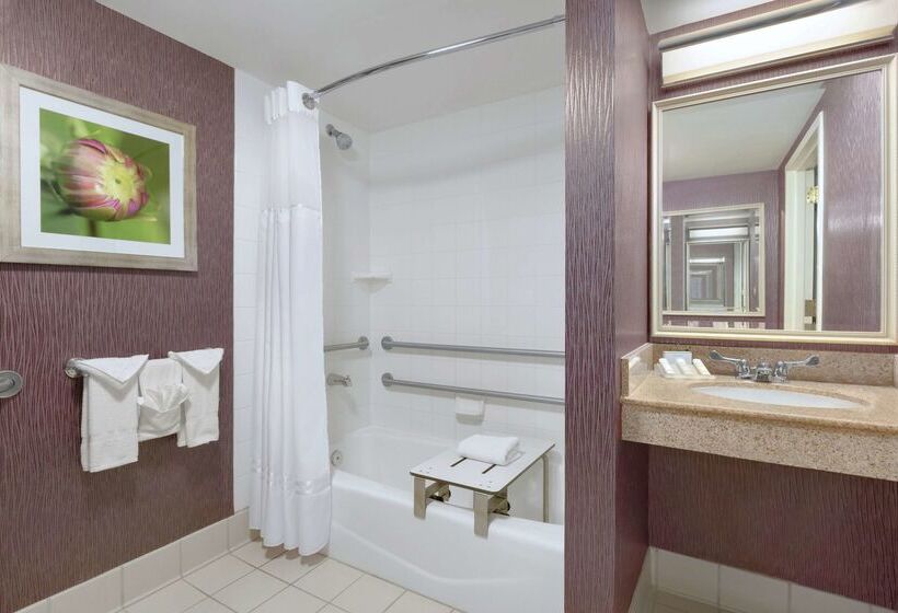 فندق Hilton Garden Inn Springfield, Ma