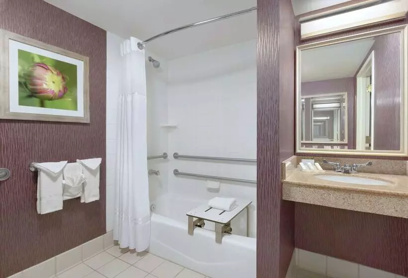 هتل Hilton Garden Inn Springfield, Ma