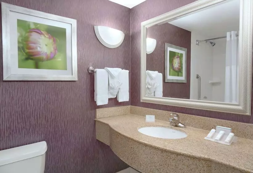 هتل Hilton Garden Inn Springfield, Ma