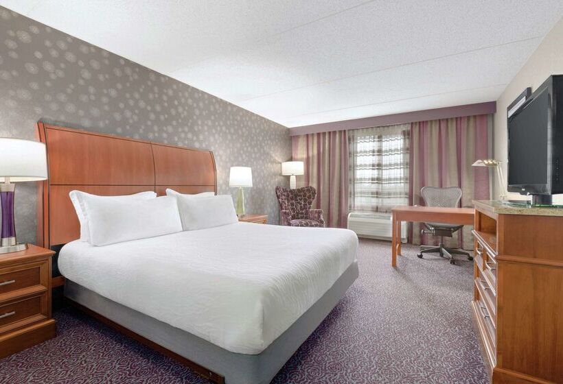 فندق Hilton Garden Inn Springfield, Ma