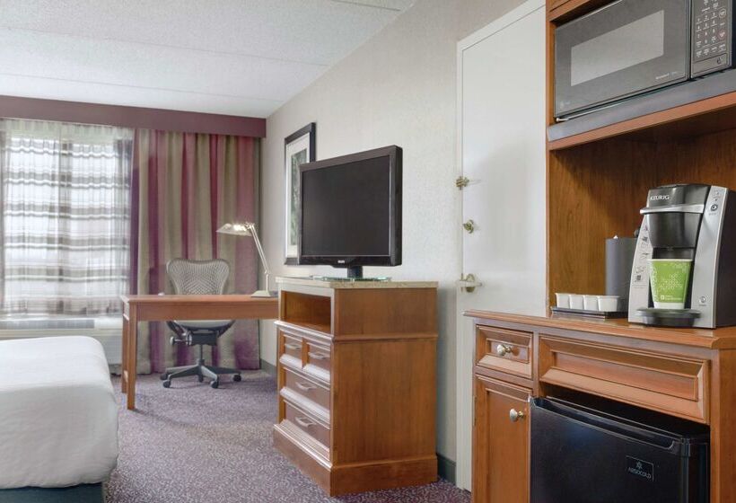فندق Hilton Garden Inn Springfield, Ma