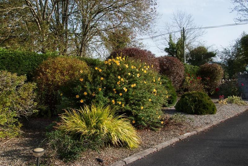 בית מלון כפרי Innisfree B&b