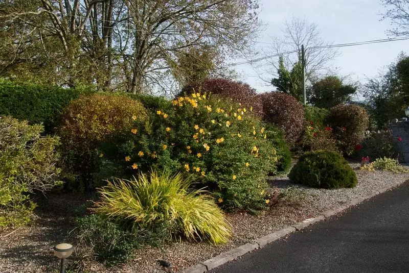 فندق Innisfree B&b