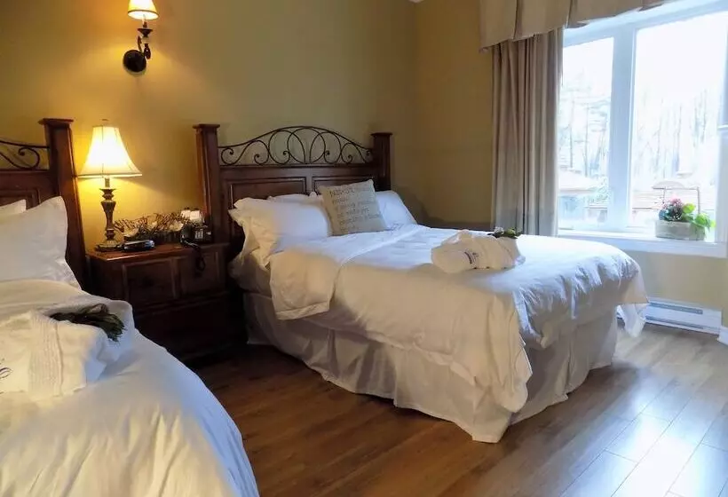 酒店 L Oasis De L île, Refuge Urbain