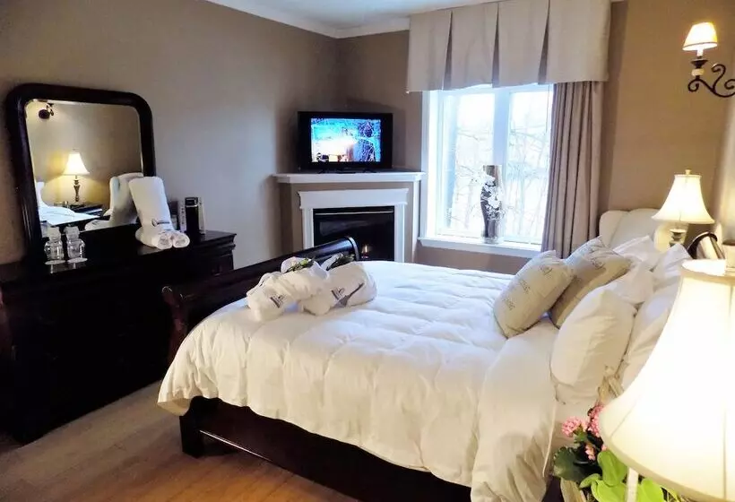 酒店 L Oasis De L île, Refuge Urbain