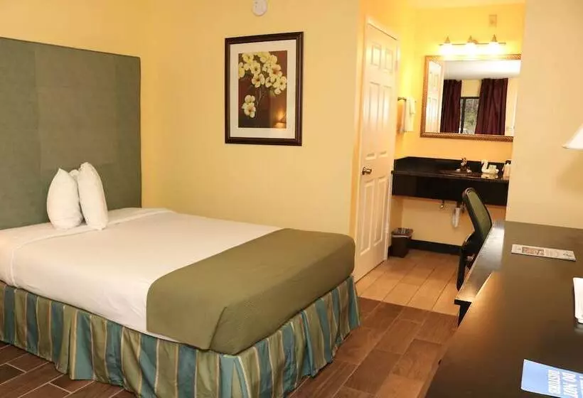 酒店 Shining Light Inn & Suites