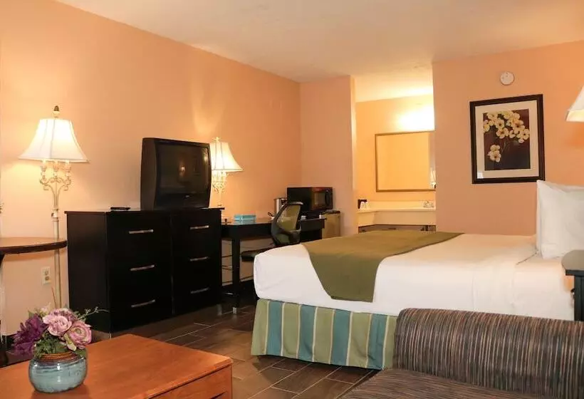 酒店 Shining Light Inn & Suites