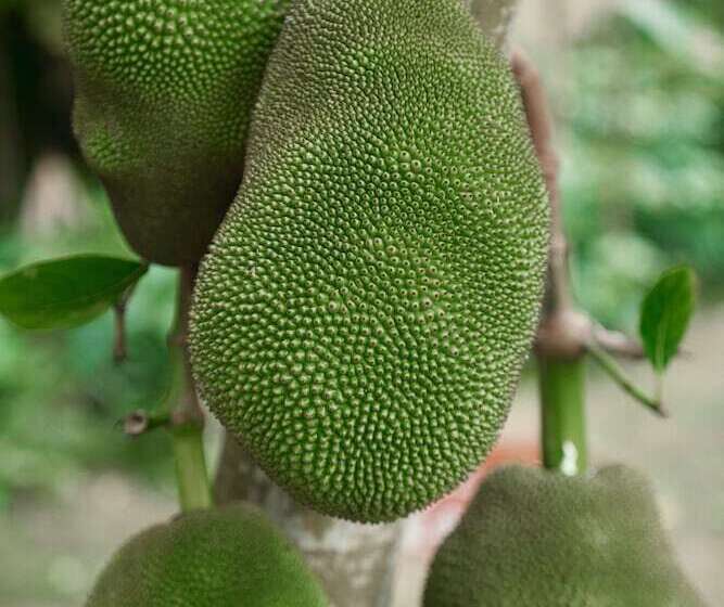 Hotel The Ritzcarlton Sanya, Yalong Bay