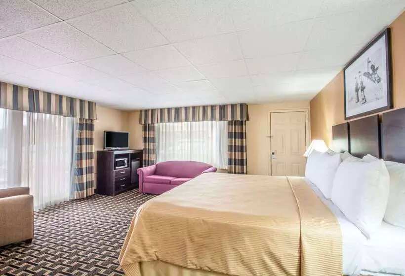 هتل Travelodge By Wyndham South Burlington
