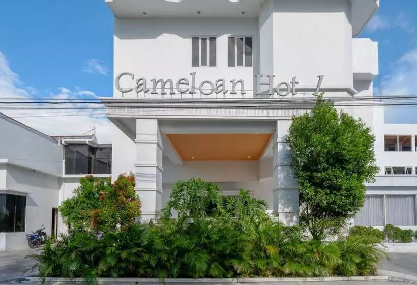 ペンション Reddoorz Plus @ Cameloan Hotel Palu