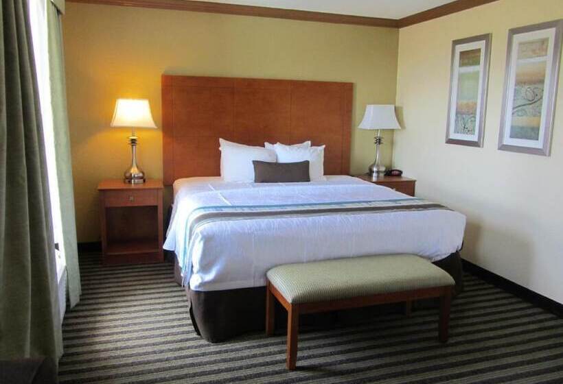 فندق Best Western Plus Seawall Inn & Suites By The Beach