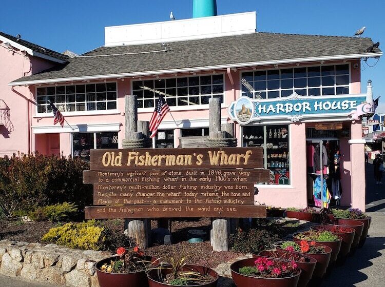 בית מלון כפרי Blu Pacific