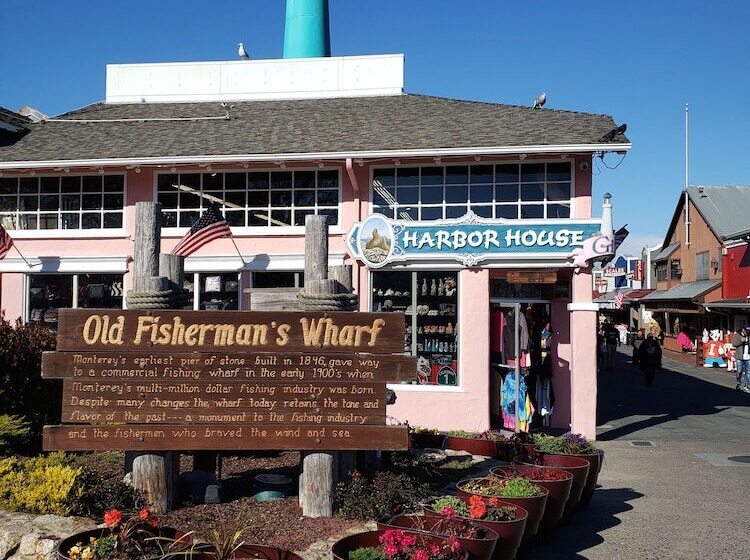 בית מלון כפרי Blu Pacific